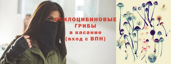бутират Горнозаводск