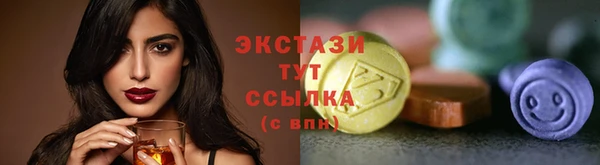 СК Горняк