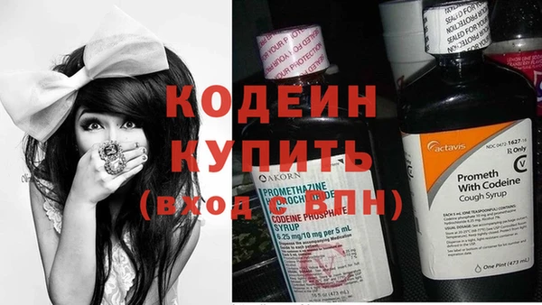 СК Горняк