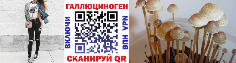Псилоцибиновые грибы MAGIC MUSHROOMS Жуковский